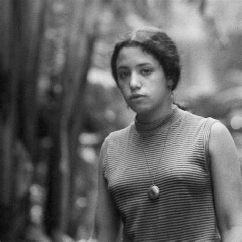 Janis Ian: Breaking Silence 2025