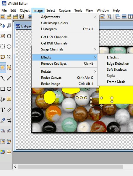 WildBit Viewer 6.14 Commercial
